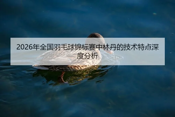 2026年全国羽毛球锦标赛中林丹的技术特点深度分析