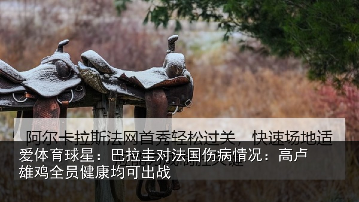 爱体育球星：巴拉圭对法国伤病情况：高卢雄鸡全员健康均可出战